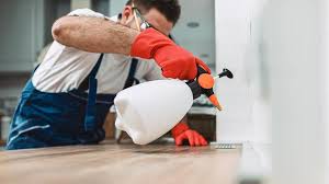 Real Estate Pest Inspections in Wildwood, MO